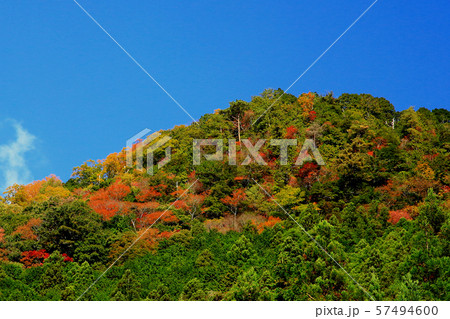 香落渓　紅葉　三重県 57494600