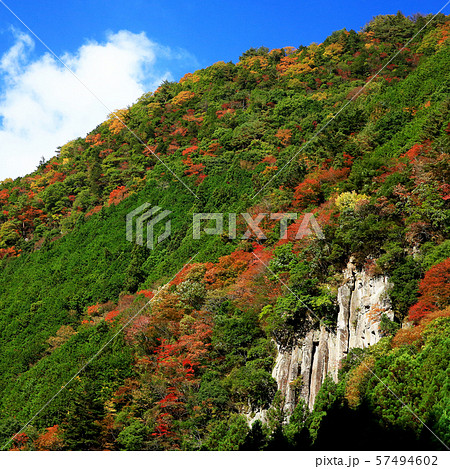香落渓 紅葉 三重県 香落渓 紅葉 三重県 57494602