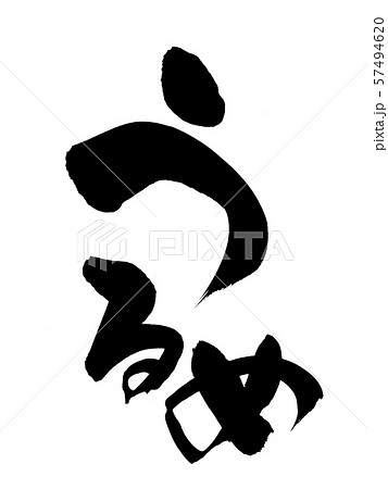 筆文字　うるめ　食べ物　イラスト　 57494620