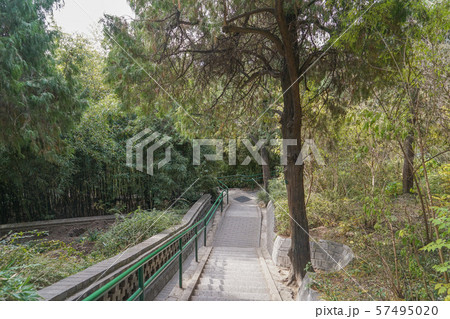 景山公園 景山公園 57495020