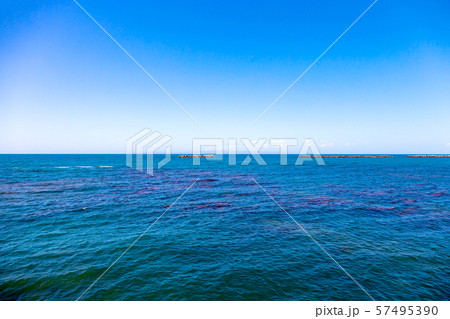 夕凪の橋 (5月 晴れ) 夕凪の橋 (5月 晴れ) 57495390