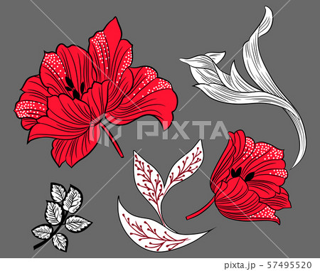 Decorative retro poppy flowers. Colorful vintage flowers. Decorative retro poppy flowers. Colorful vintage flowers. 57495520