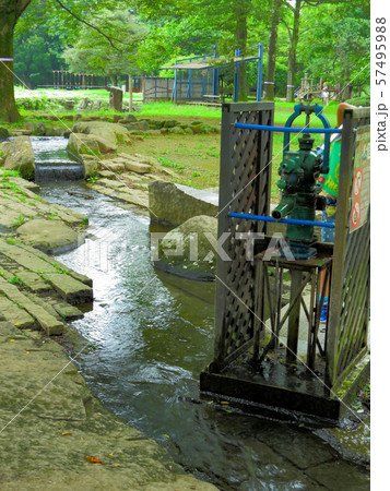 夏の終わりの公園 夏の終わりの公園 57495988