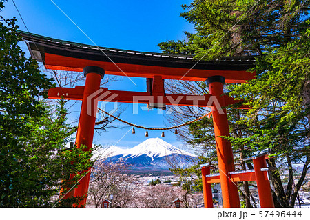 《山梨県》富士山と鳥居・新倉山浅間公園 《山梨県》富士山と鳥居・新倉山浅間公園 57496444
