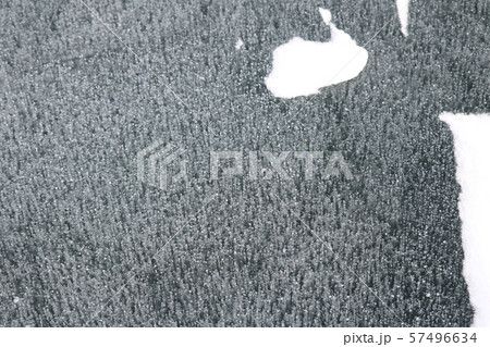 アイスバブル アイスバブル 57496634