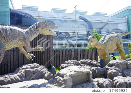 福井市風景　福井駅 57496925