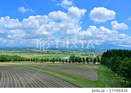 十勝連峰をバックに広がる広大な大地の情景@富良野、北海道 十勝連峰をバックに広がる広大な大地の情景@富良野、北海道 57496926