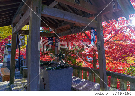 神奈川県伊勢原市の雨降山大山寺（あぶりさんおおやまでら）の手水舎 57497160