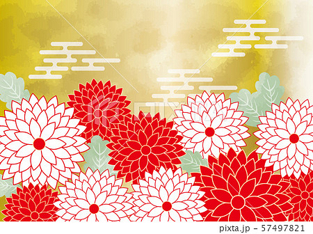 菊 菊紋 菊 花 和風 水彩 和柄 金 植物 お正月 年賀状のイラスト素材