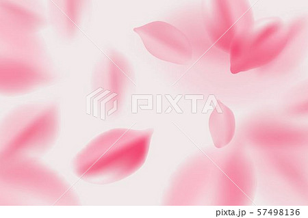 Falling red rose petals isolated on white 57498136