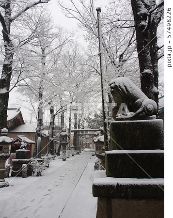 川崎市中原区の日枝神社の雪景色 川崎市中原区の日枝神社の雪景色 57498226
