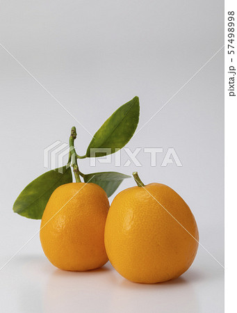 きんかん 57498998