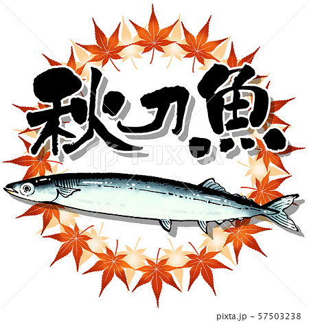 秋刀魚 手書きイラスト 筆文字のイラスト素材