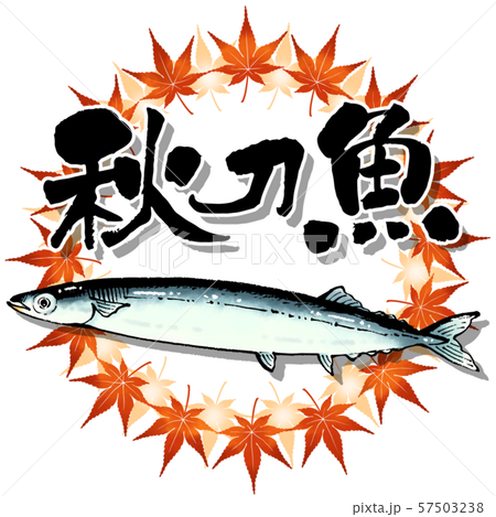 秋刀魚 手書きイラスト 筆文字のイラスト素材