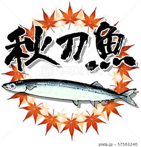 秋刀魚 手描きイラスト 筆文字のイラスト素材