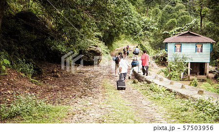 Jhalong Camp area, Suntalekhola (Samsing), Kalimpong, West Bengal, India Located near Neora Valley national park popular for tourist for nature walk, trekking, weekend activity and wilderness resorts. Jhalong Camp area, Suntalekhola (Samsing), Kalimpong, West Bengal, India Located near Neora Valley national park popular for tourist for nature walk, trekking, weekend activity and wilderness resorts. 57503956