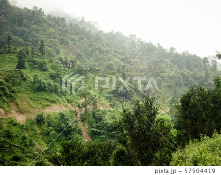 View of Neora Valley National Park from Samsing. Rocky Island village, Jhalong Camp area, Suntalekhola (Samsing), Kalimpong, West Bengal, India popular for nature walk, trekking, weekend activities. 57504419