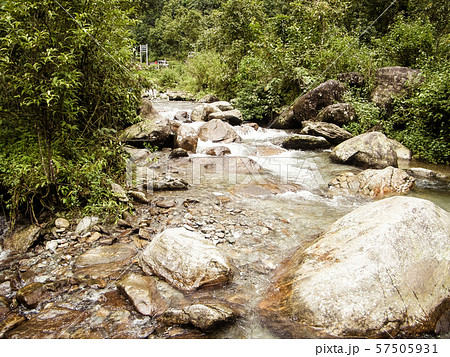 Main tributary of river Teesta, the Rangit river flowing through a dense pristine jungle  57505931