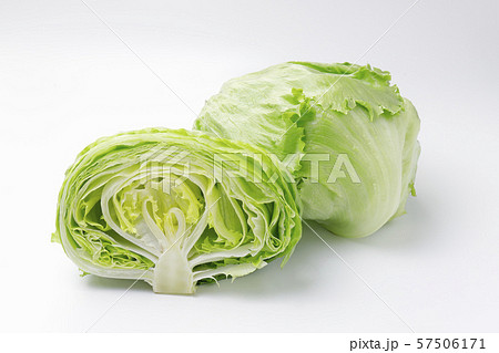 レタス レタス 57506171