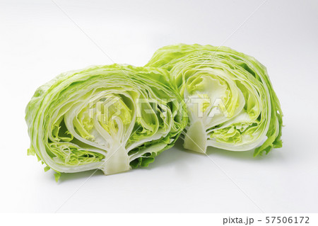 レタス 57506172