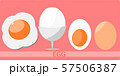 Fried egg on vector format 57506387