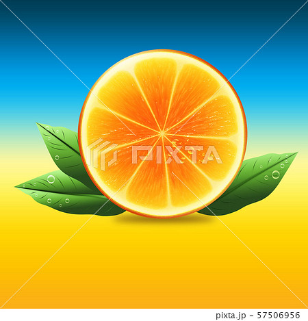 Half of orange with leaves 57506956