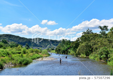 あきる野市 秋川の鮎釣り あきる野市 秋川の鮎釣り 57507296