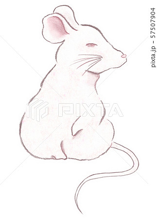 ネズミの横顔のイラスト素材