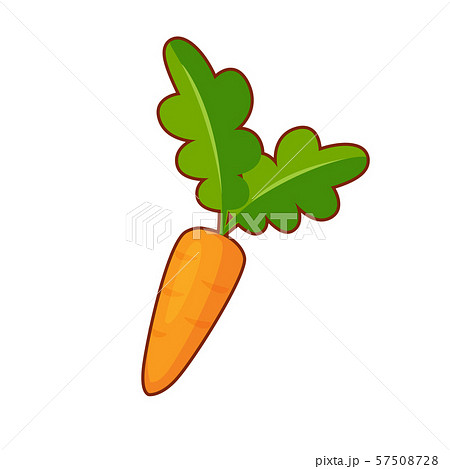 Vector illustration of cartoon carrot 57508728