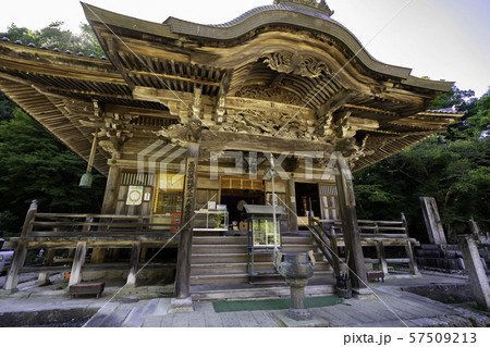 城崎温泉　温泉寺　薬師堂（本堂）　兵庫県豊岡市 57509213