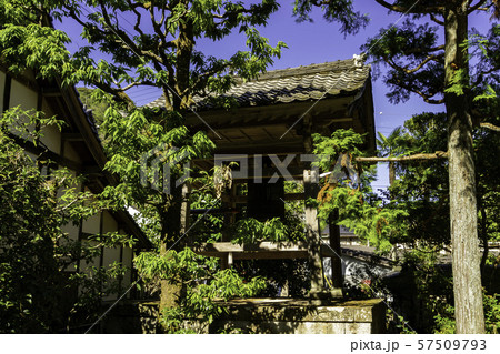 城崎温泉　極楽寺　鐘楼　兵庫県豊岡市 57509793