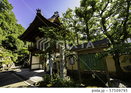 城崎温泉　極楽寺　山門　兵庫県豊岡市 57509795