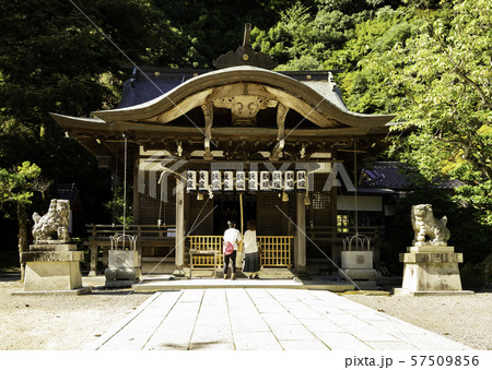 城崎温泉 四所神社 拝殿 兵庫県豊岡市 城崎温泉 四所神社 拝殿 兵庫県豊岡市 57509856