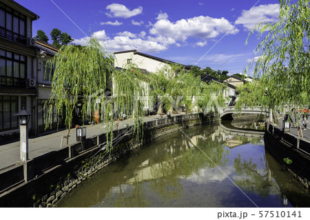 城崎温泉 大谿川の南北柳通り 兵庫県豊岡市 城崎温泉 大谿川の南北柳通り 兵庫県豊岡市 57510141