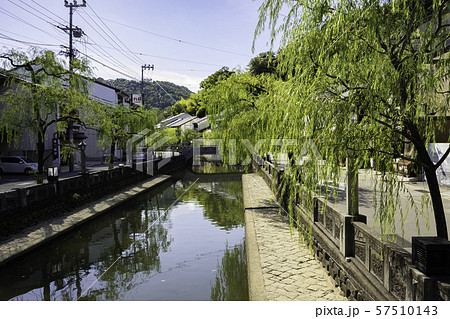 城崎温泉 大谿川の南北柳通り 兵庫県豊岡市 城崎温泉 大谿川の南北柳通り 兵庫県豊岡市 57510143