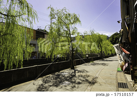 城崎温泉 大谿川の北柳通り 兵庫県豊岡市 城崎温泉 大谿川の北柳通り 兵庫県豊岡市 57510157