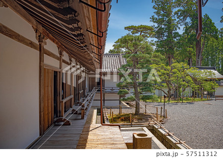 松島 瑞巌寺 臥龍梅と本堂 57511312