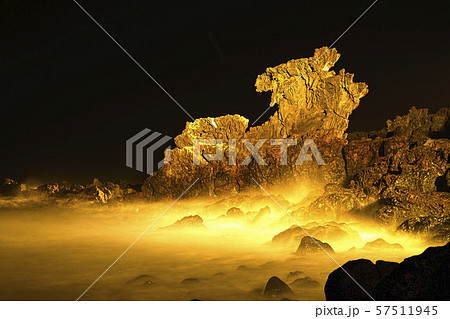 龍頭岩 済州 済州島 57511945