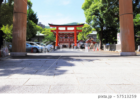 生田神社1 生田神社1 57513259