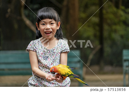Portrait Asian child girl is feeding bird Portrait Asian child girl is feeding bird 57513656