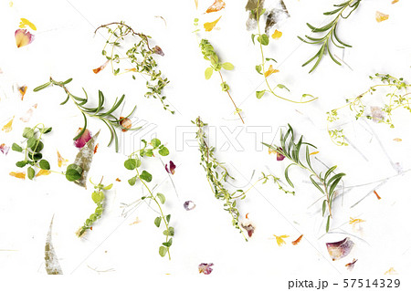 The herbs of Provence. Rosemary, oregano, thyme, and marjoram, shot from above on a background of The herbs of Provence. Rosemary, oregano, thyme, and marjoram, shot from above on a background of 57514329