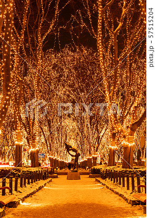 仙台光のページェント 4 57515204