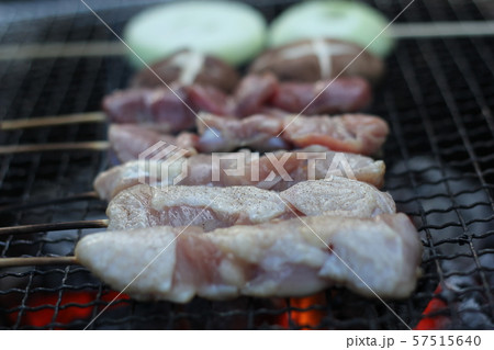北海道の一般的なバーベキュー５ 57515640