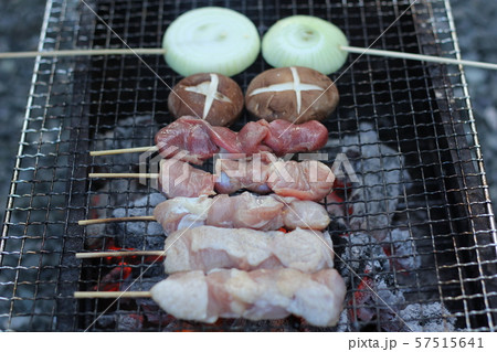 北海道の一般的なバーベキュー６ 57515641