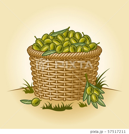 Retro basket of olives 57517211
