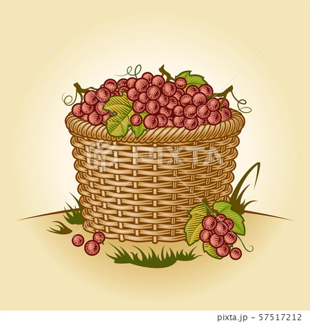 Retro basket of grapes 57517212