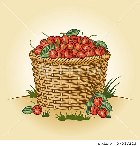 Retro basket of cherries 57517213