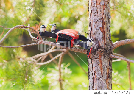 Failed drone crash on the tree and fell down with broken leg and scratched on it cover. Failed drone crash on the tree and fell down with broken leg and scratched on it cover. 57517427