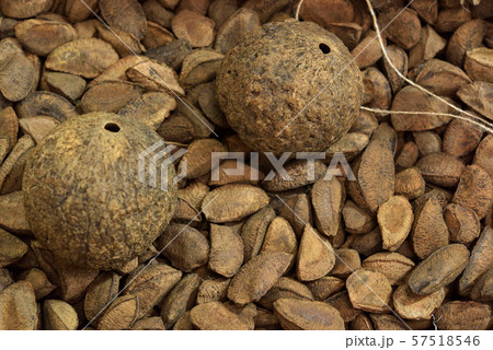 皮つきブラジルナッツ 57518546