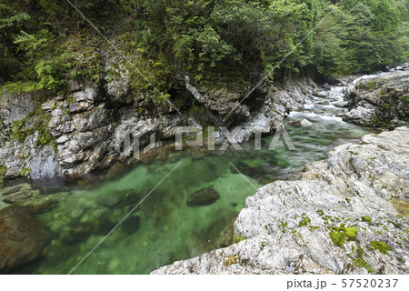 前鬼川　不動七重の滝周辺（奈良県吉野郡下北山村） 57520237
